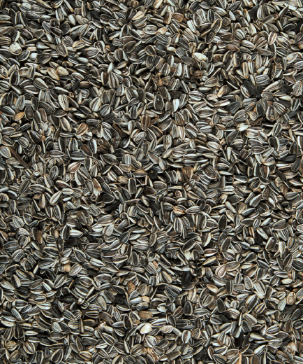 90 x Versele MenuNature Sunflower seeds 1,5 kg