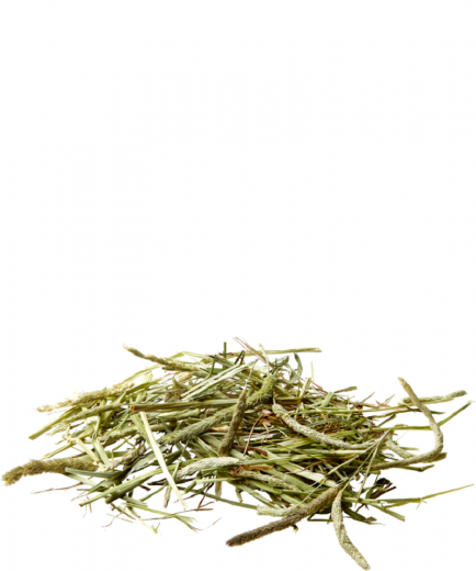4 x Versele Timothy Hay 1 kg