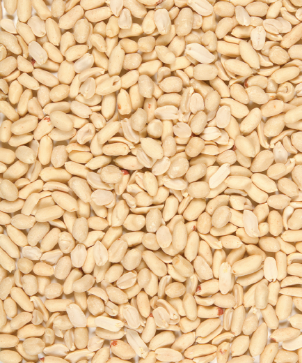 5 x Versele Peeled peanuts 1 kg (geschälte Erdnüsse)