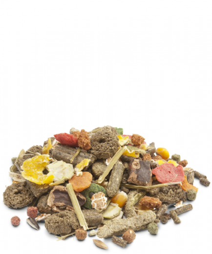 Versele Crispy Muesli Rabbits 2,75 kg