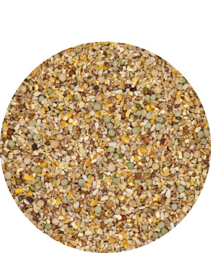 5 x Versele CB Gra-Mix Tauben 4 kg