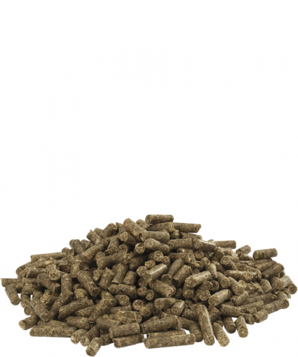 Versele Cuni Fit Pure 5 kg