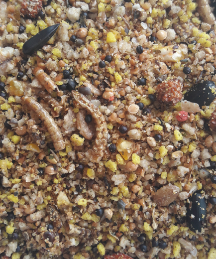 3 x Versele Nesting Blend 2,5 kg