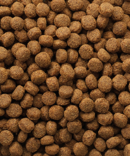 Versele Classic Puppy 10 kg