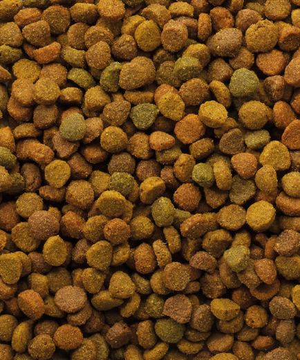 Versele Classic Variety Katze 10 kg