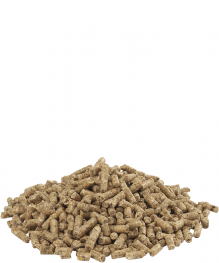 Versele CB GOLD 4 Pellet 20 kg