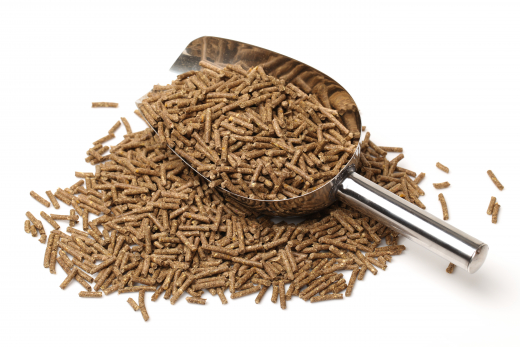 Equanis DetoxBooster 1,5 kg Pellets, Pferd
