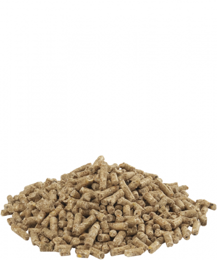 Versele CB FARM 2 PURE Pellet 20 kg