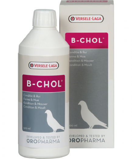 Versele Oropharma B-Chol 500 ml