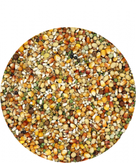 Versele Superstar Plus 20 kg