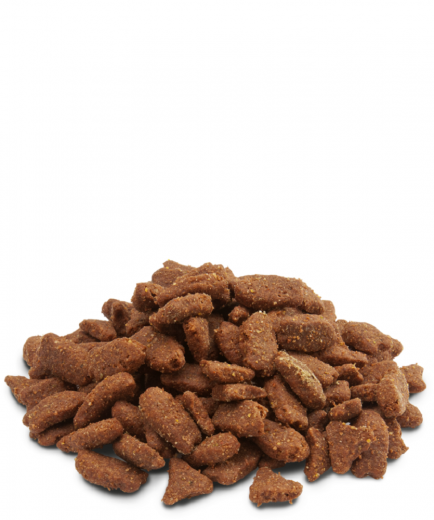 Versele Pellets - Ferrets 10 kg