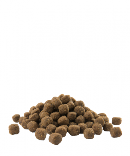 Opti Life Adult Medium 12,5 kg