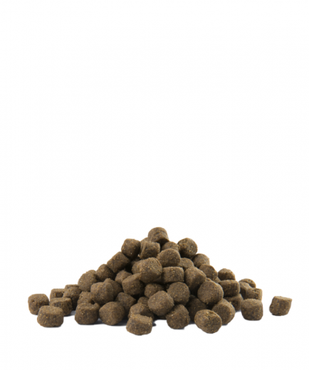 Opti Life Adult Digestion Medium & Maxi 12,5 kg