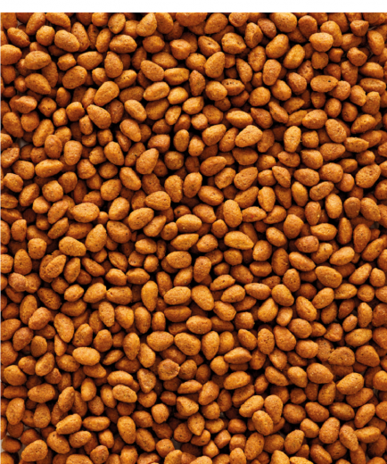 NutriBird G14 Original 10 kg