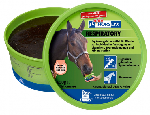 Derby Horslyx Respiratory 650 gr.