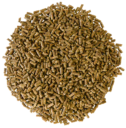 Derby Vital Pellets 7,5 kg