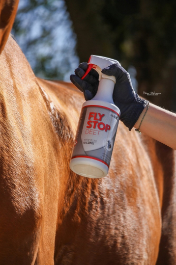 Stiefel Fly Stop DEET 650 ml