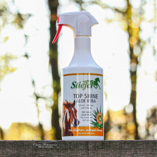 Stiefel Top Shine Aloe 2,5 l
