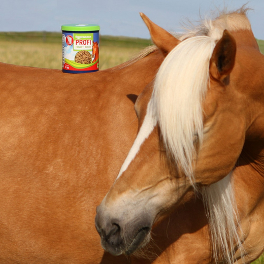Eggersmann PROFI Haut-Kur 1 kg