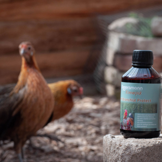 Eggersmann Körnerpick Profi Bronchial Protect 250 ml - für gesunde Atemwege