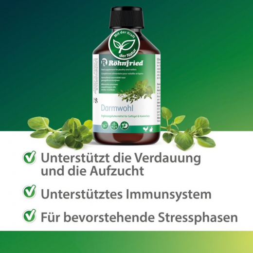 Röhnfried Darmwohl 500 ml zum Ausgleich von Mangelerscheinungen