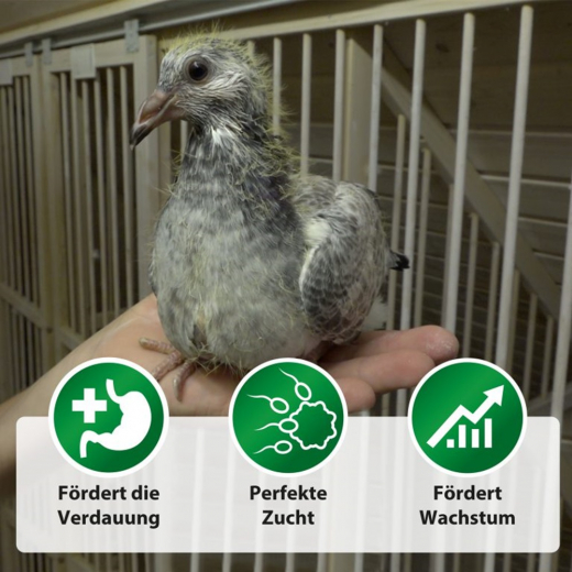 Röhnfried OptiBreed 1 kg zur Stabilisierung des Darmtrakts