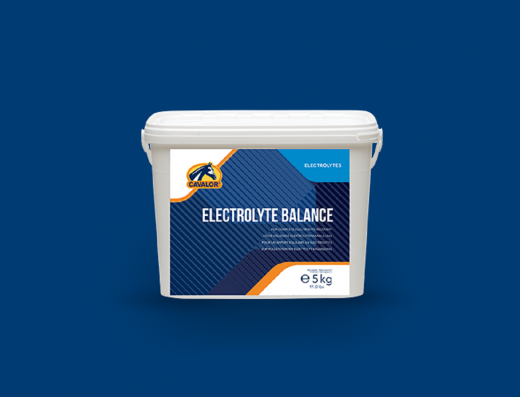 Cavalor Electrolyte Balance 0,8kg