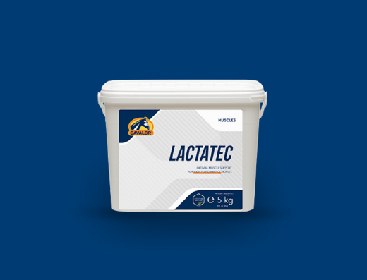 Cavalor Lactatec, 5kg