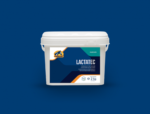 Cavalor Lactatec 2kg
