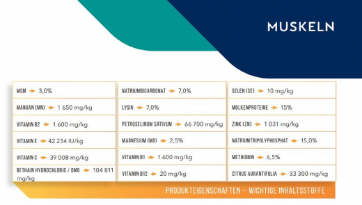 Cavalor Lactatec 2kg