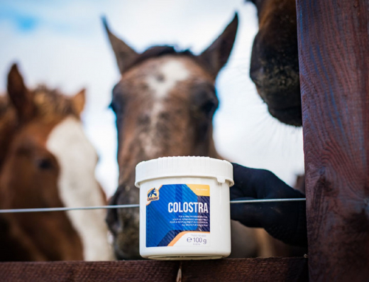 Cavalor Colostra 24 100g