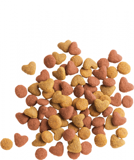 5 x Lara Junior with Chicken 350 gr.