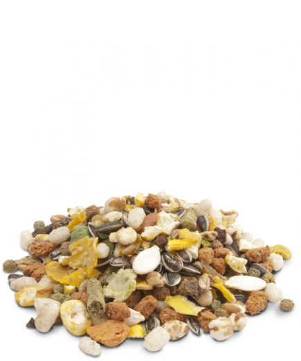 5 x Versele Crispy Muesli Hamster & Co. 1 kg