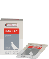 Versele Oropharma Recup-Lyt 240 gr.