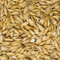 Höveler Walzhafer 20 kg