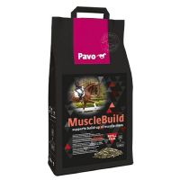 Pavo Muscle Build Nachfuell 3 kg
