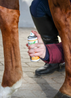 Stiefel Blauspray 200 ml