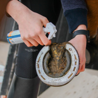 Stiefel Hufhaerter 200 ml