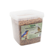 Volaris Mehlwürmer getrocknet 900 gramm Eimer