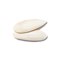 Agrobs Testudo Sepiaschalen, 15-20 cm, 2 Stück