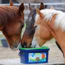 Eggersmann Osteomin 8 kg