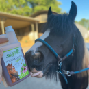 Stiefel Hustenkräutersaft 1 ltr.