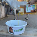 Stiefel Leinöl 1 ltr.