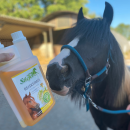 Stiefel Reiskeimöl 5 ltr.