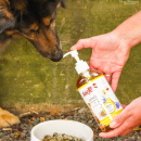 Stiefel Hund Leinoel 500 ml