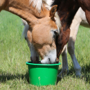 Eggersmann Mineral Leckmasse 25 kg