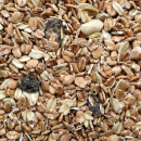 Volaris Fettkörner 15 kg - Wildvogelfutter