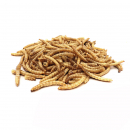 Volaris Mehlwürmer getrocknet 900 gramm Eimer