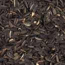 Volaris Sonnenblumenkerne 1 kg Beutel für alle Vogelarten