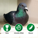 Röhnfried BT Amin forte 1 Liter für mehr Muskelkraft